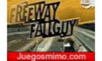 Coche Freeway Fallguy