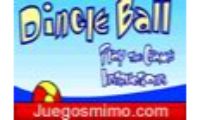 Perro Dingle Ball