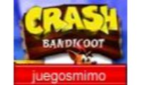 crash bandicoo race