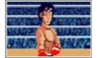 iron mikes punch out