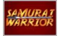 samurai warriors