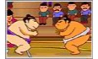 sumo